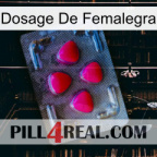 Femalegra Dosage 13